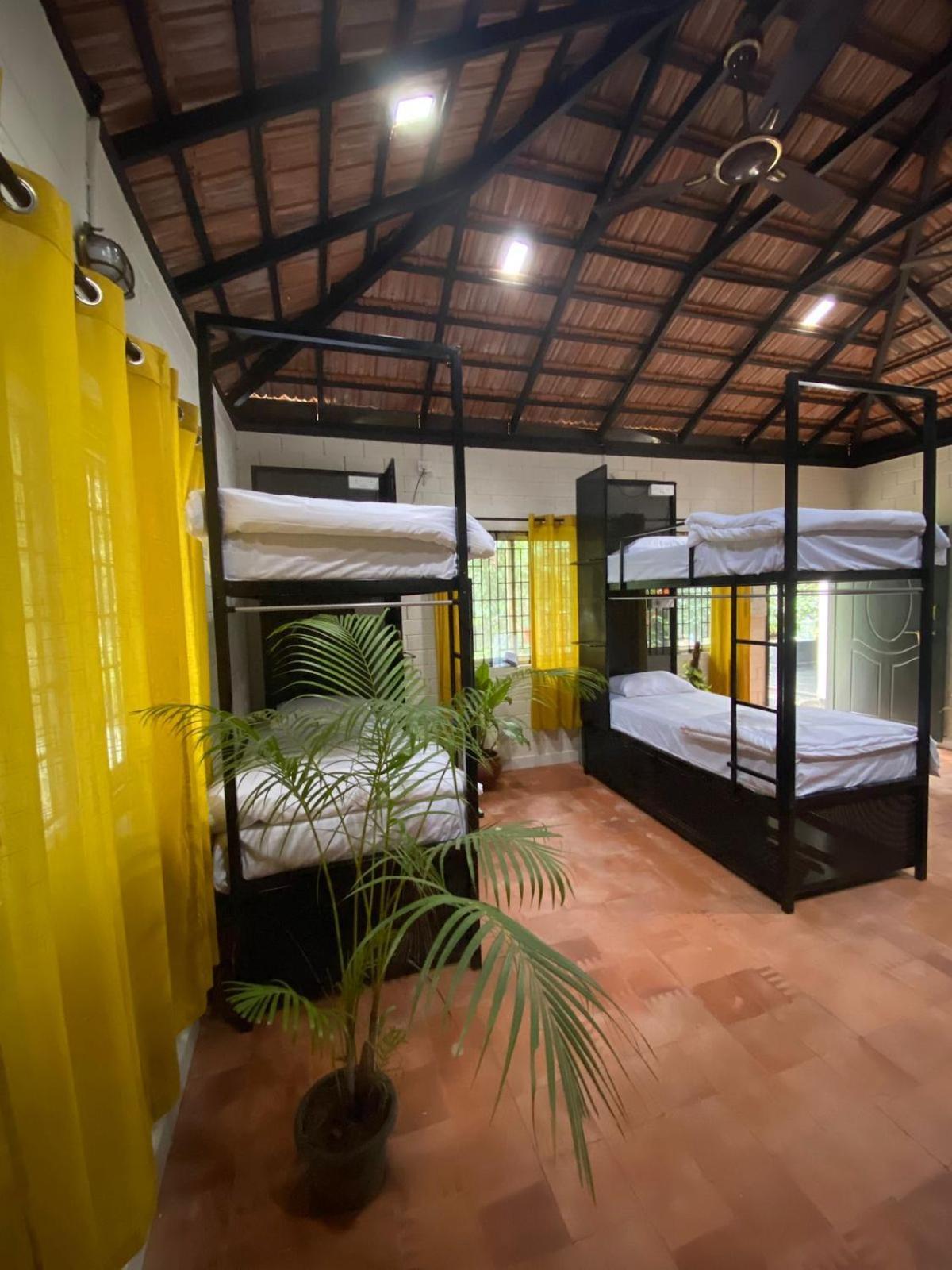 Benomadic Eco Hostel, Madikeri, Coorg Suntikoppa Exterior foto