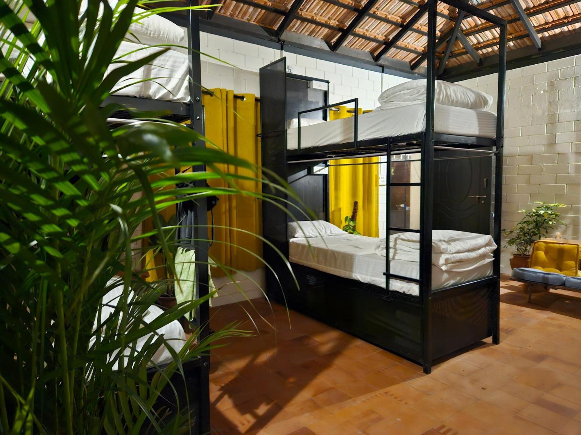 Benomadic Eco Hostel, Madikeri, Coorg Suntikoppa Exterior foto