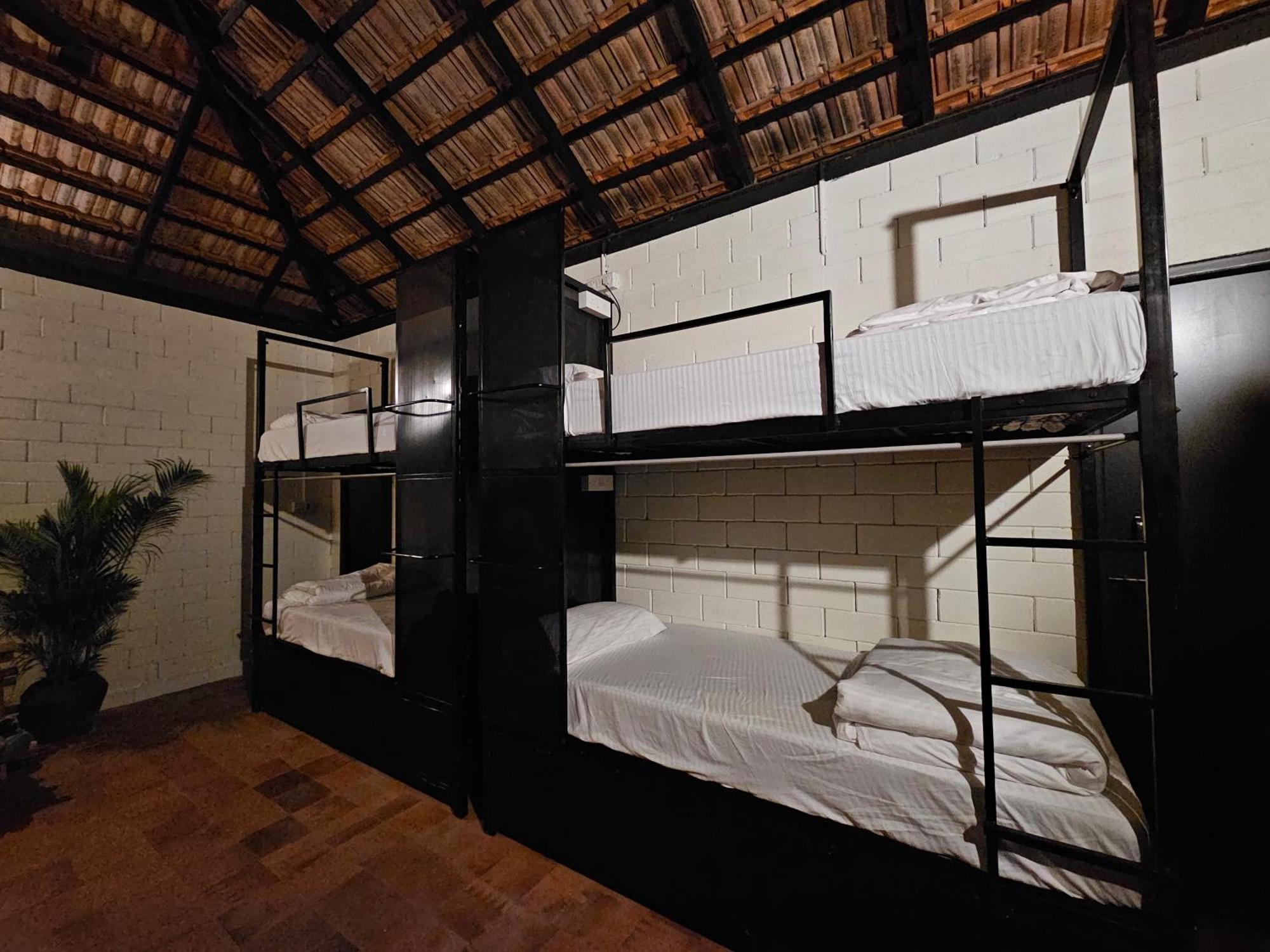 Benomadic Eco Hostel, Madikeri, Coorg Suntikoppa Exterior foto